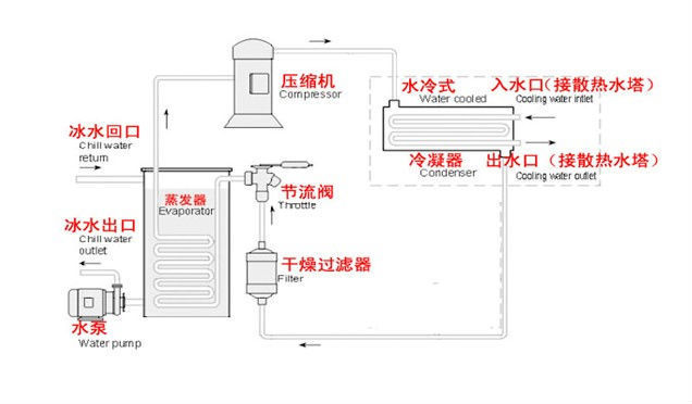 乡村特色产业全链升级一朵灵芝“长”成大产业(图1)